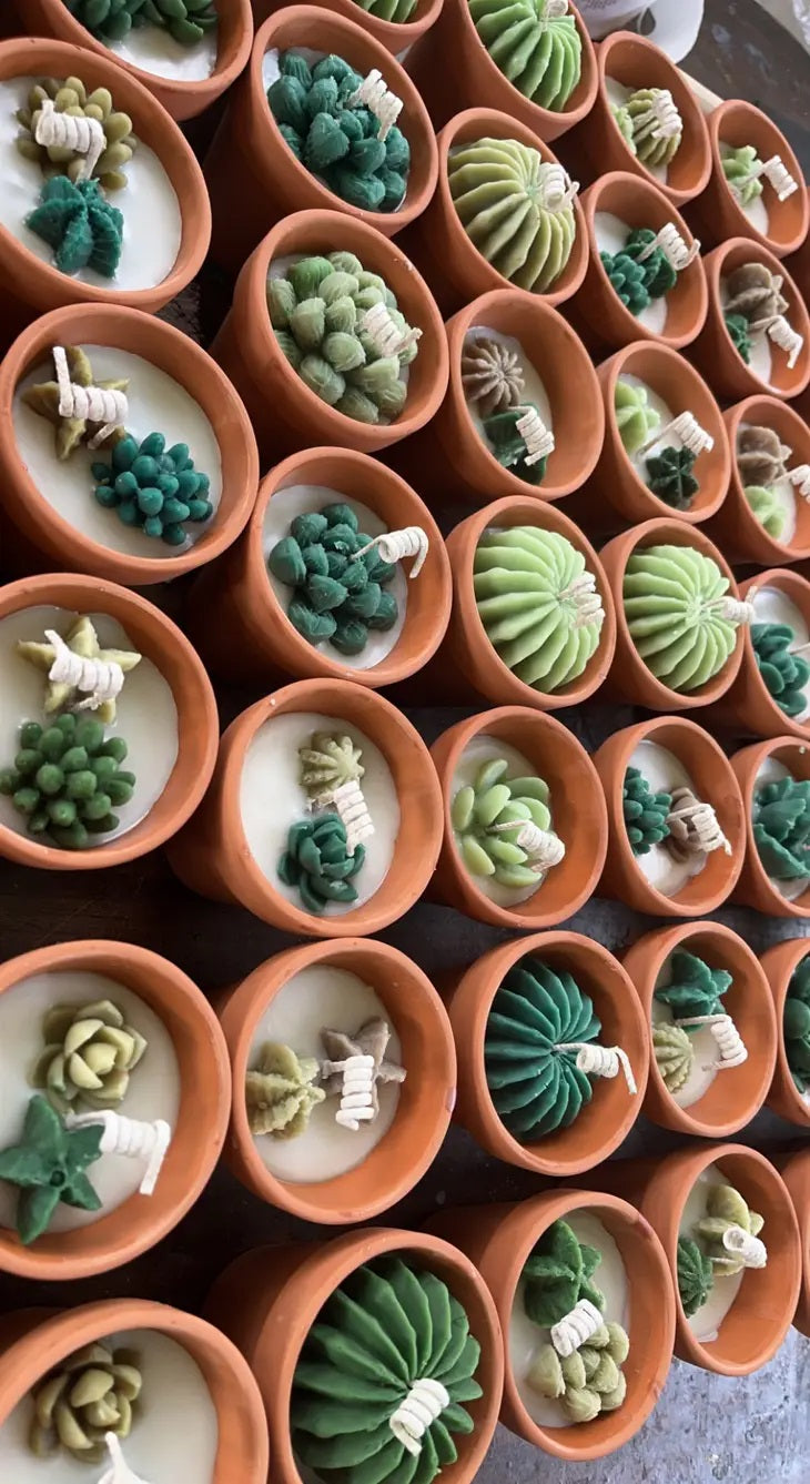 Mini Potted Succulent Candles