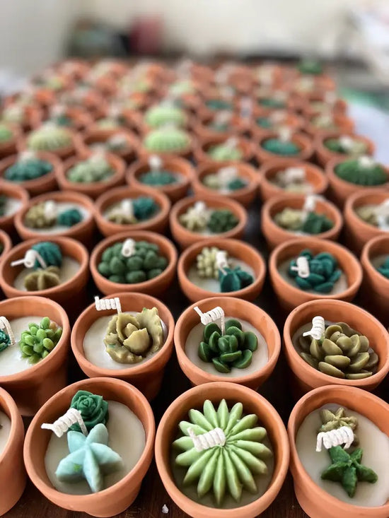 Mini Potted Succulent Candles