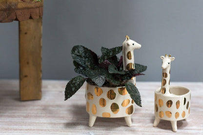 Giraffe Pot