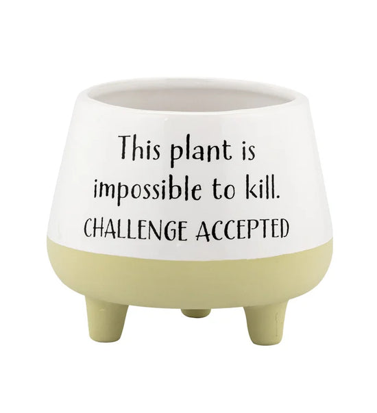 Witty Footed Planter