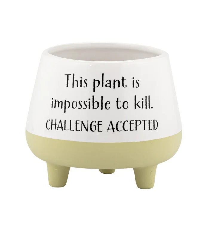 Witty Footed Planter