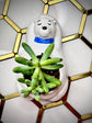 Polar Bear Hypertufa Planter