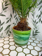 Alcohol Ink Planter: Monstera 6"