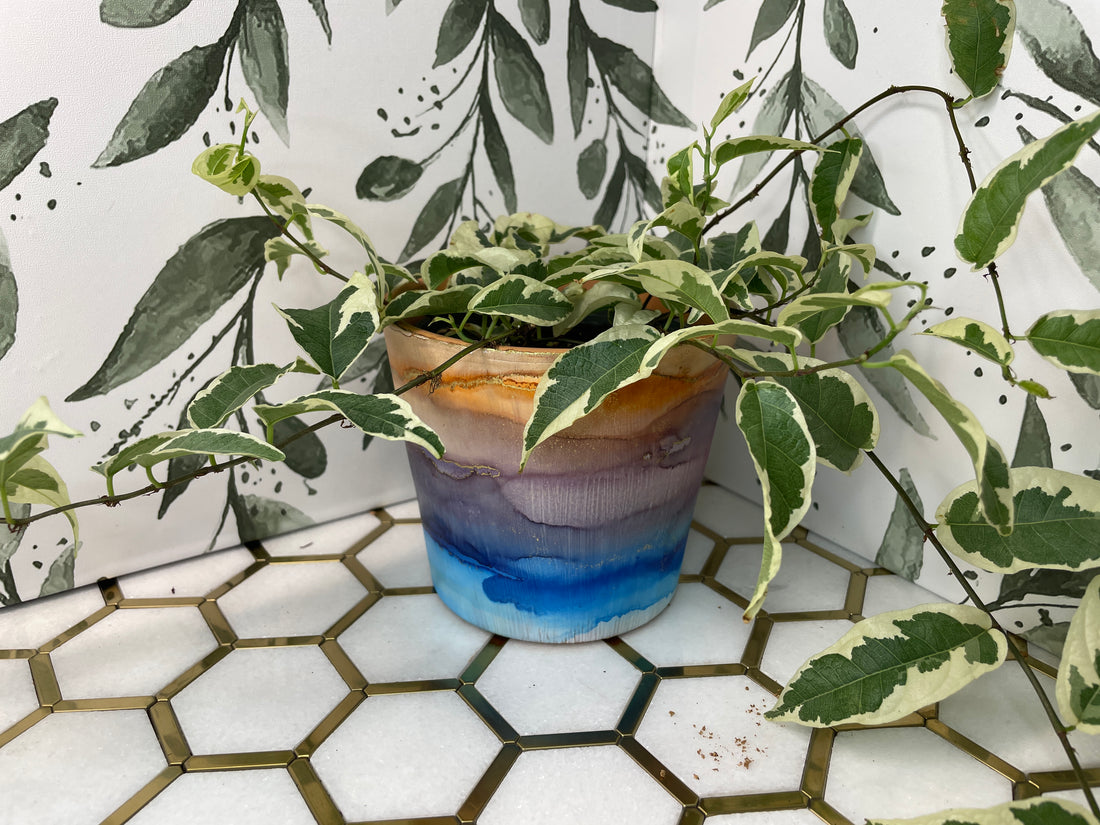 Alcohol Ink Planter: Sedona 4&quot;