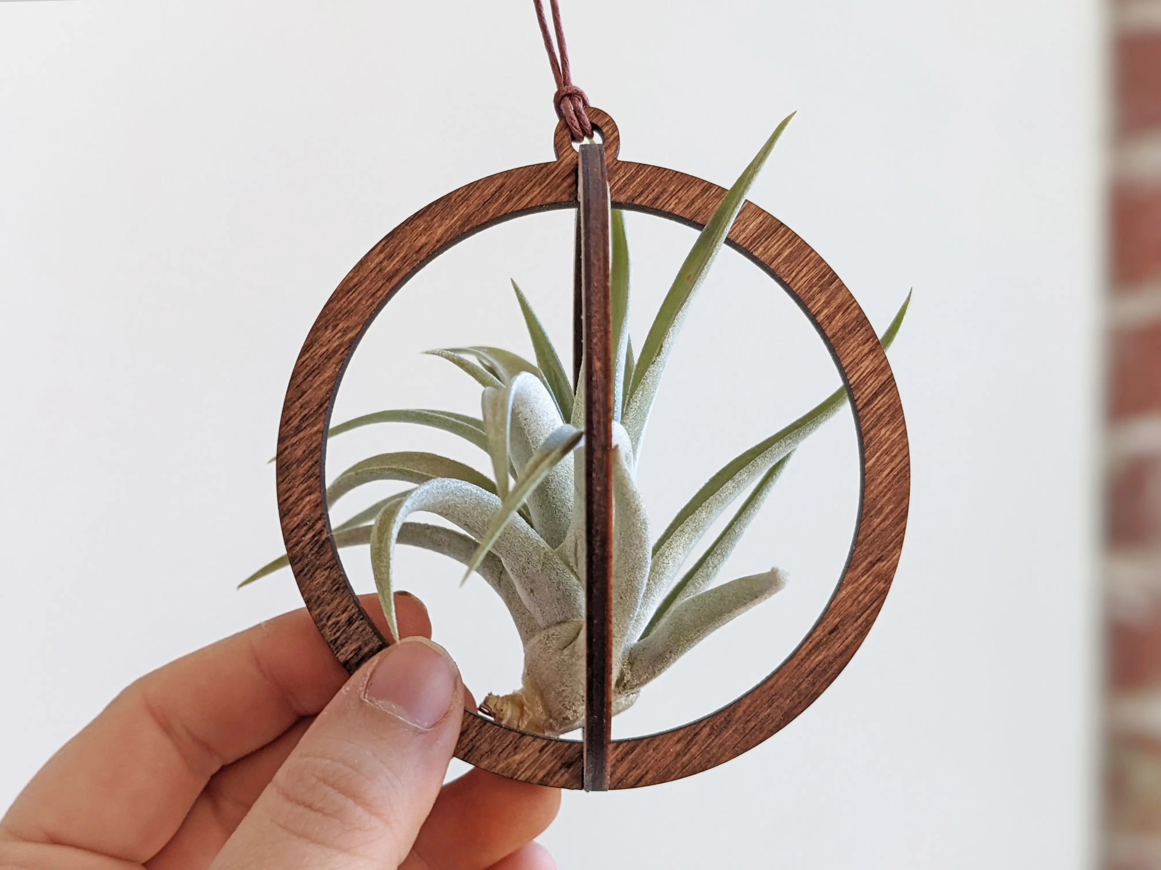 Circle Hanging Wood Air Plant Holder