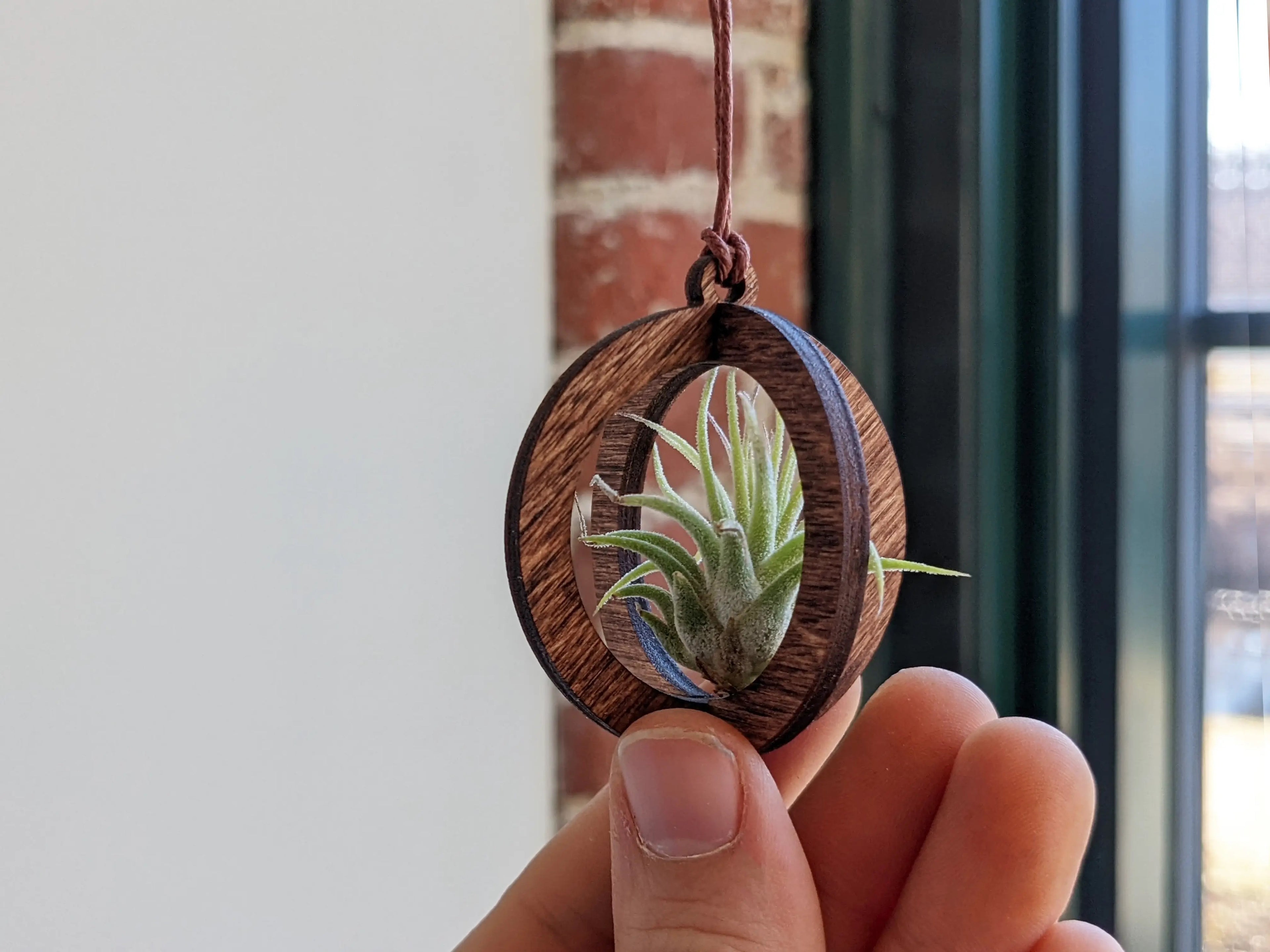 Circle Hanging Wood Air Plant Holder