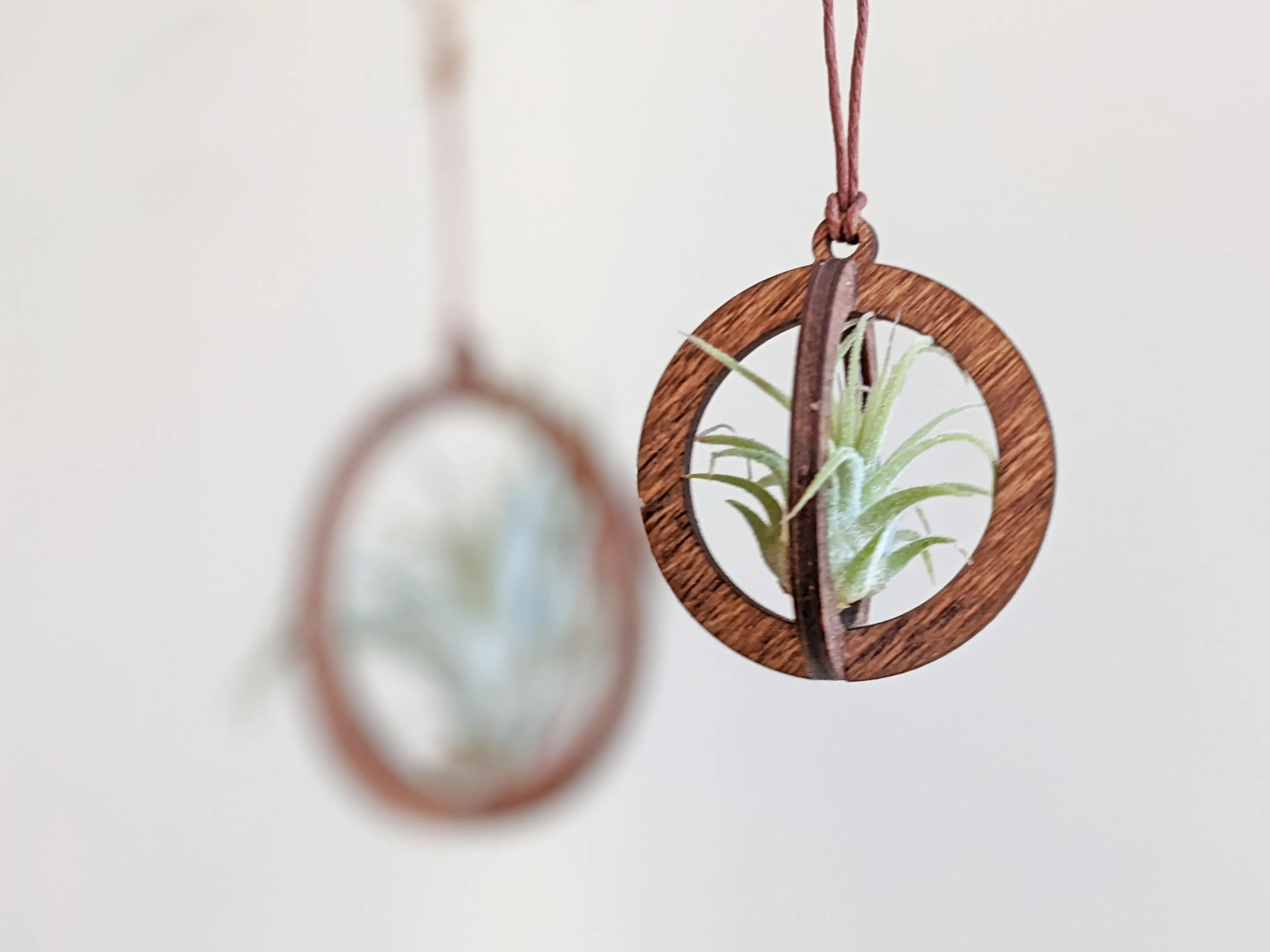 Circle Hanging Wood Air Plant Holder