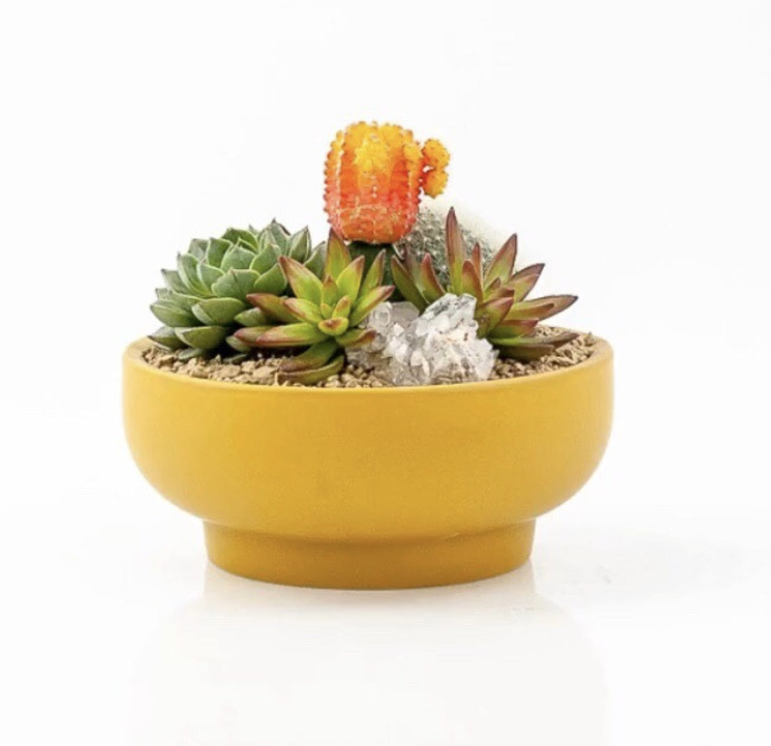 9&quot; Mustard Pedestal Home and Garden Bowl