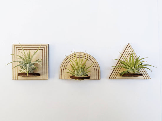 Wood Air Plant Magnet Triangle
