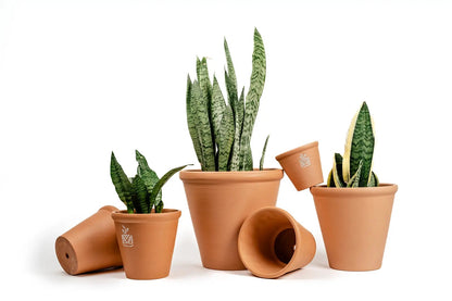 terra-cotta pots in all various sizes for live plants