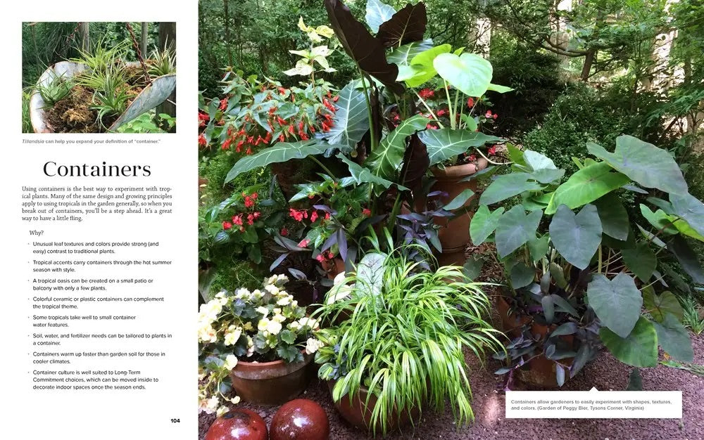 tropical plants and how to love them book containers page