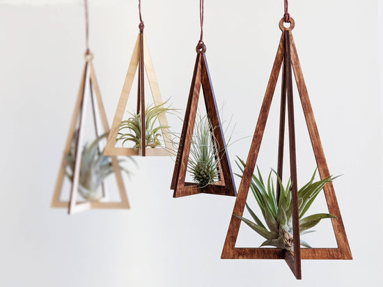 Triangle Hanging Wood Air Plant Holder