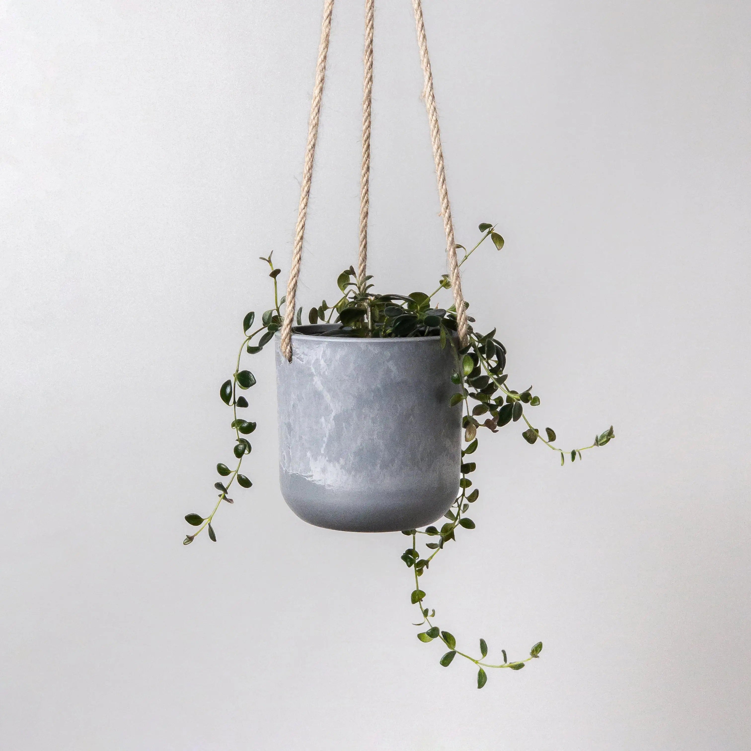 Signature Stone Hanging Planter