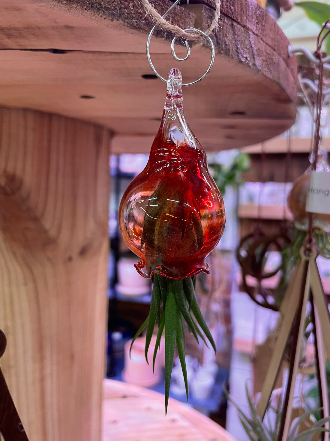 Jellyfish Hand Blown Glass: Dark Orange