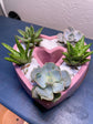 My Love For You Live Succulent Heart