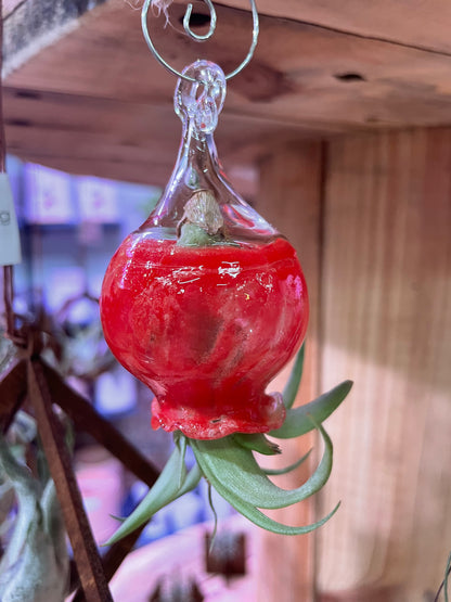 Jellyfish Hand Blown Glass: Crayon Red