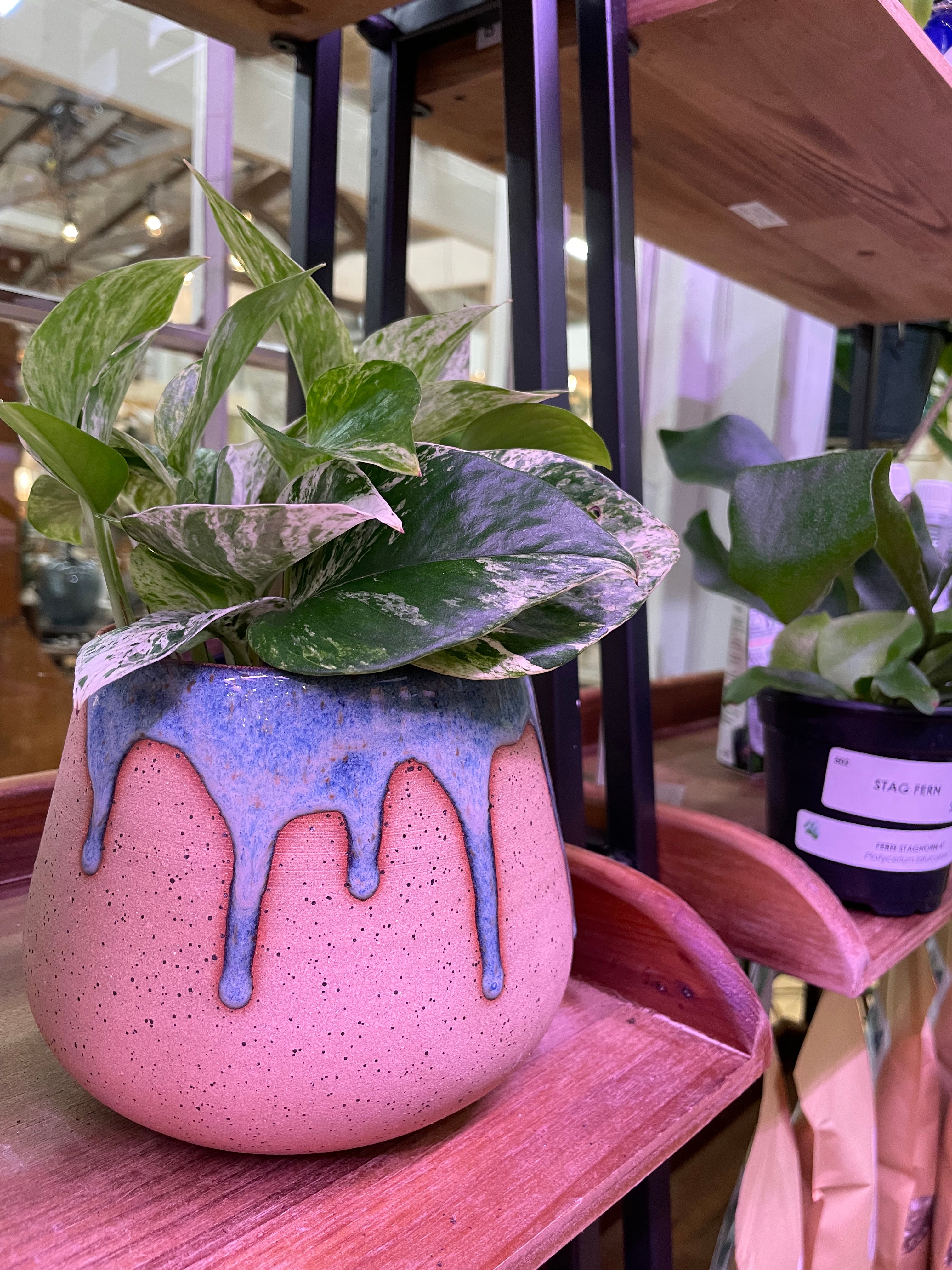 Drip Planter