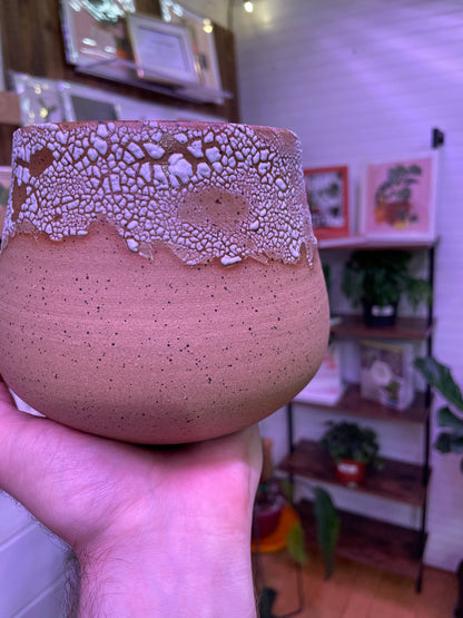 Spackle Bellied Planter