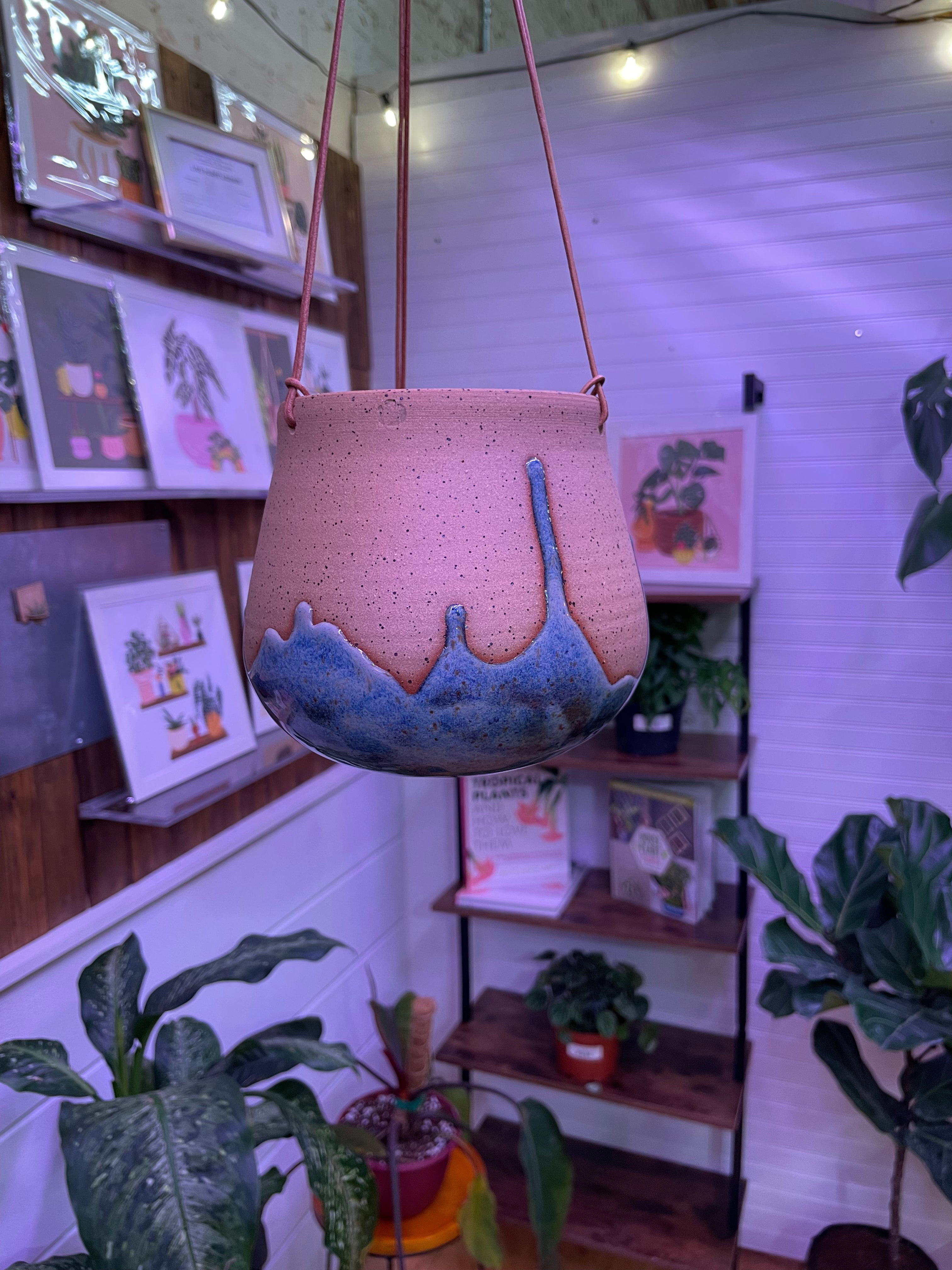 Bottom Drip Hanging Planter