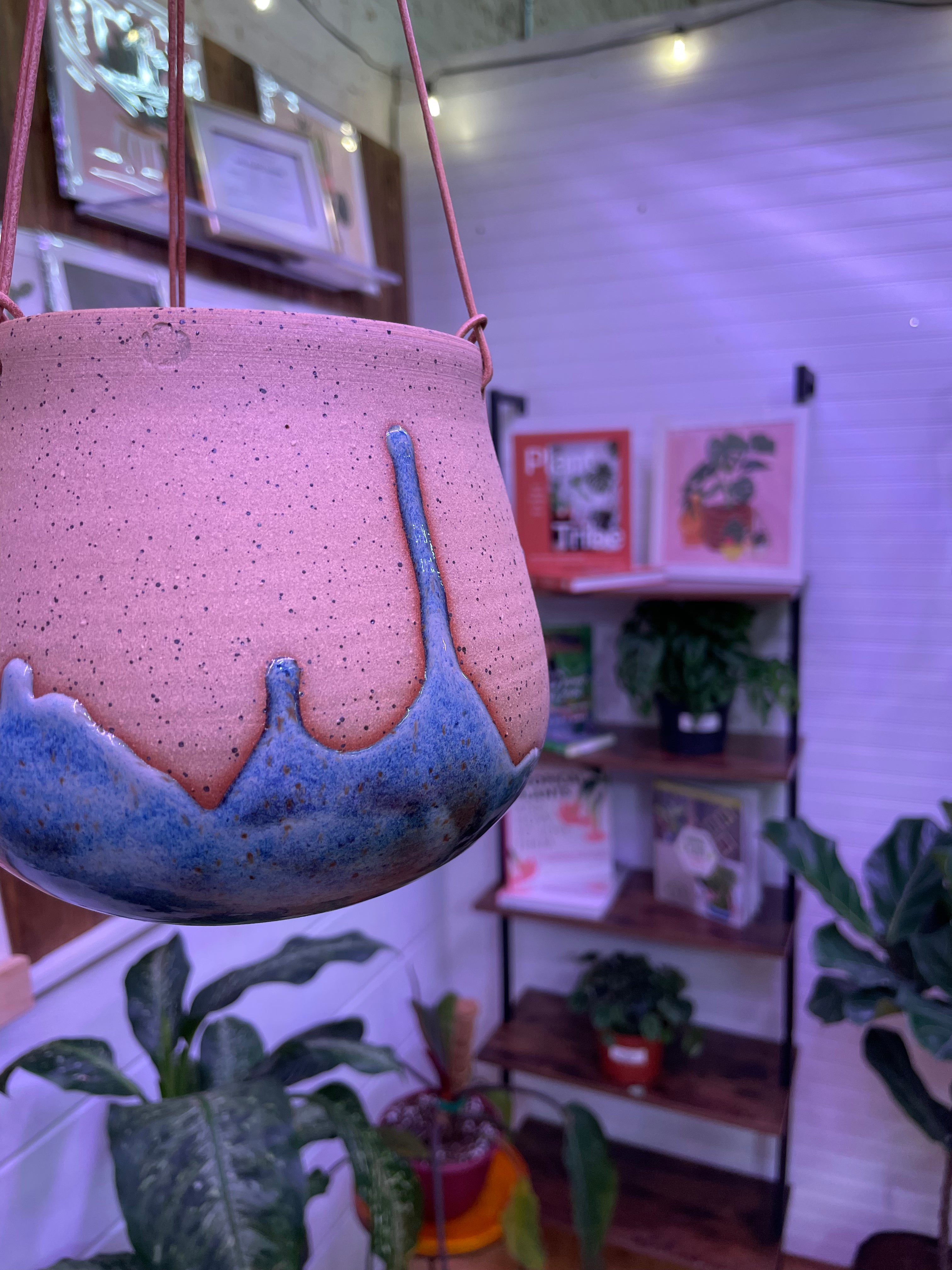 Bottom Drip Hanging Planter