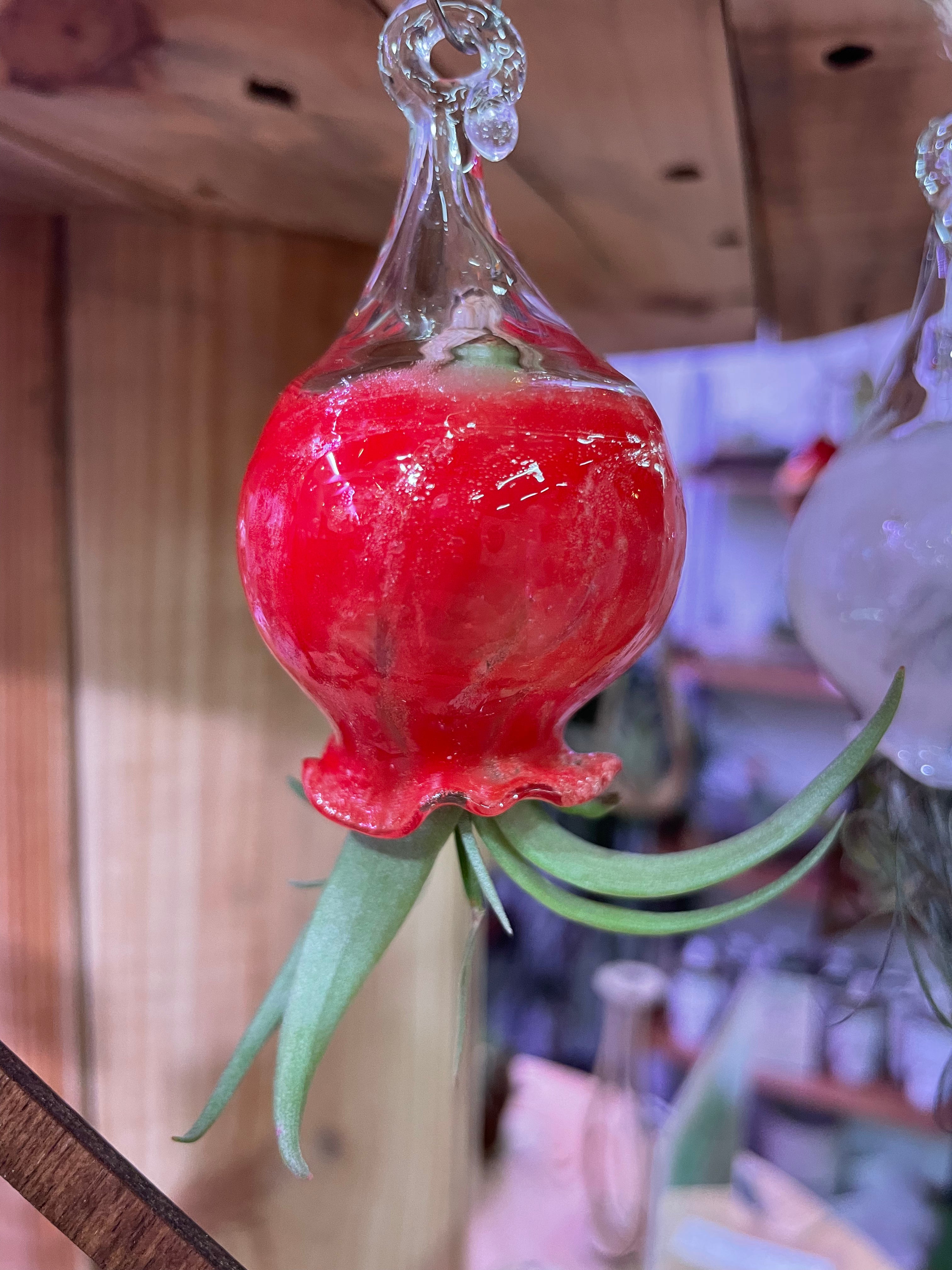 Jellyfish Hand Blown Glass: Crayon Red