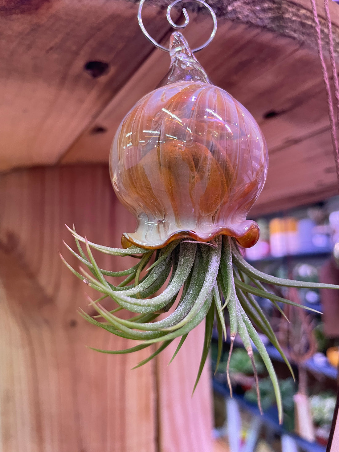 Jellyfish Hand Blown Glass: Caramel