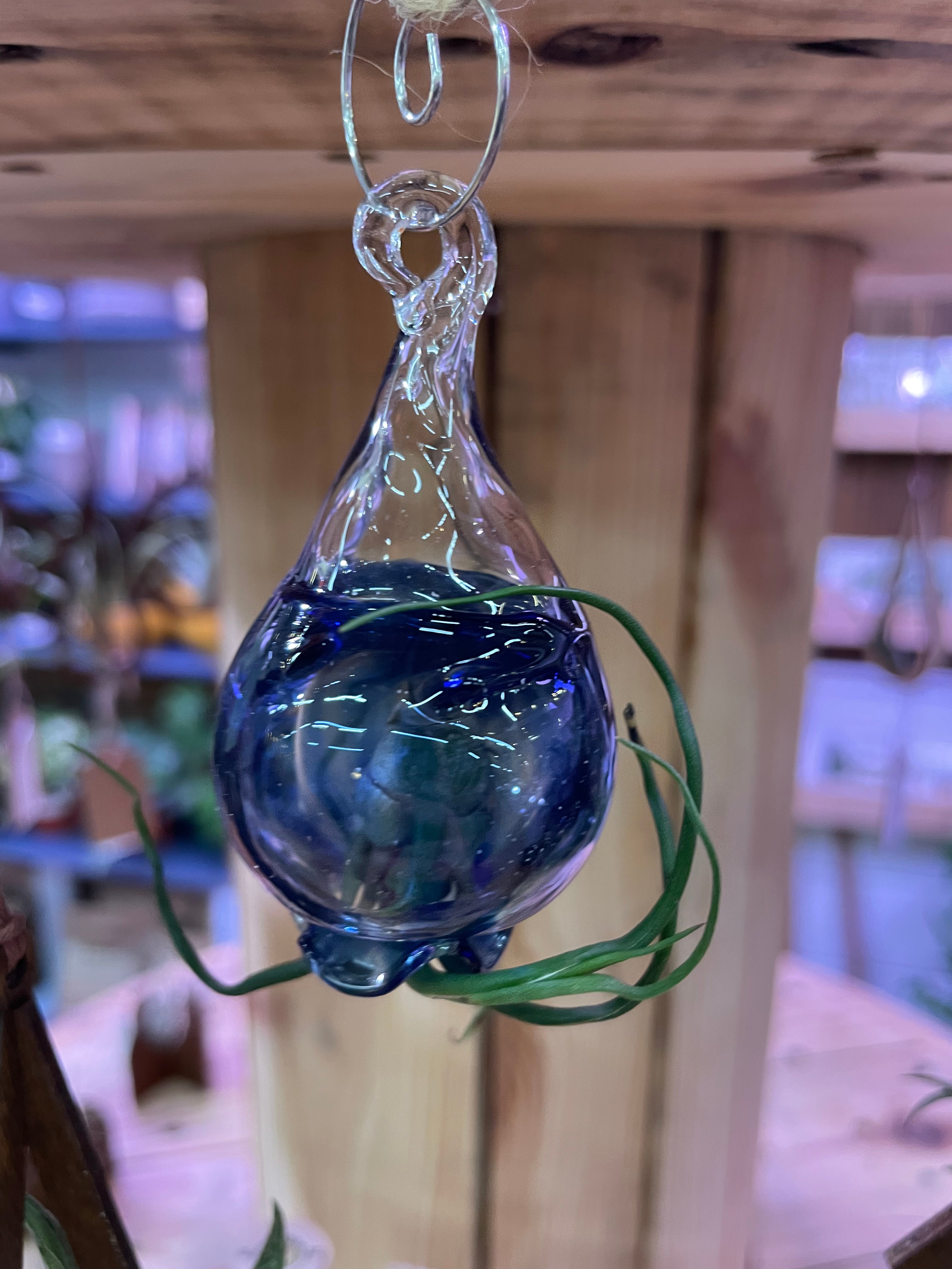 Jellyfish Hand Blown Glass: Cobalt