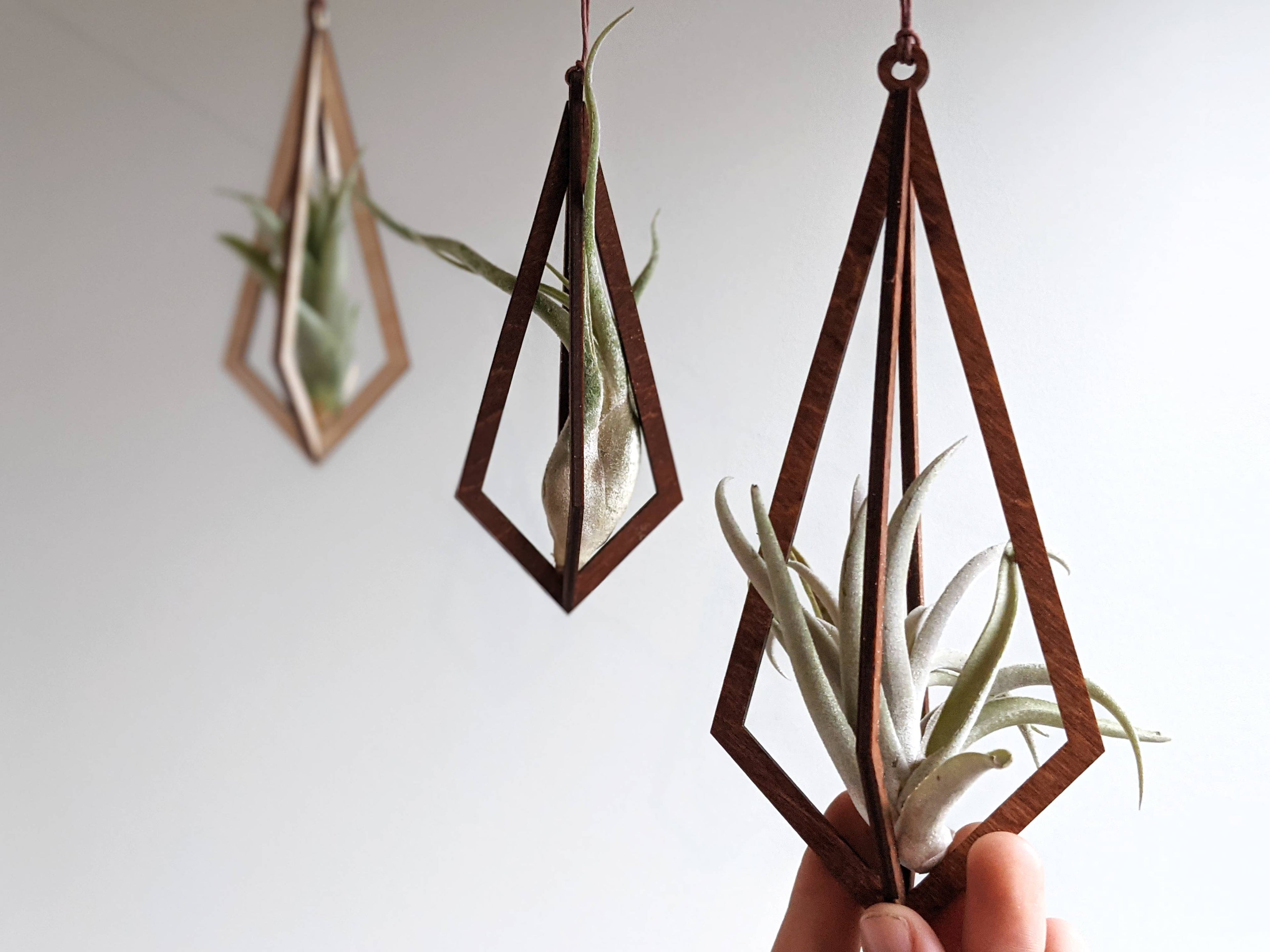 Diamond Air Plant Hangers