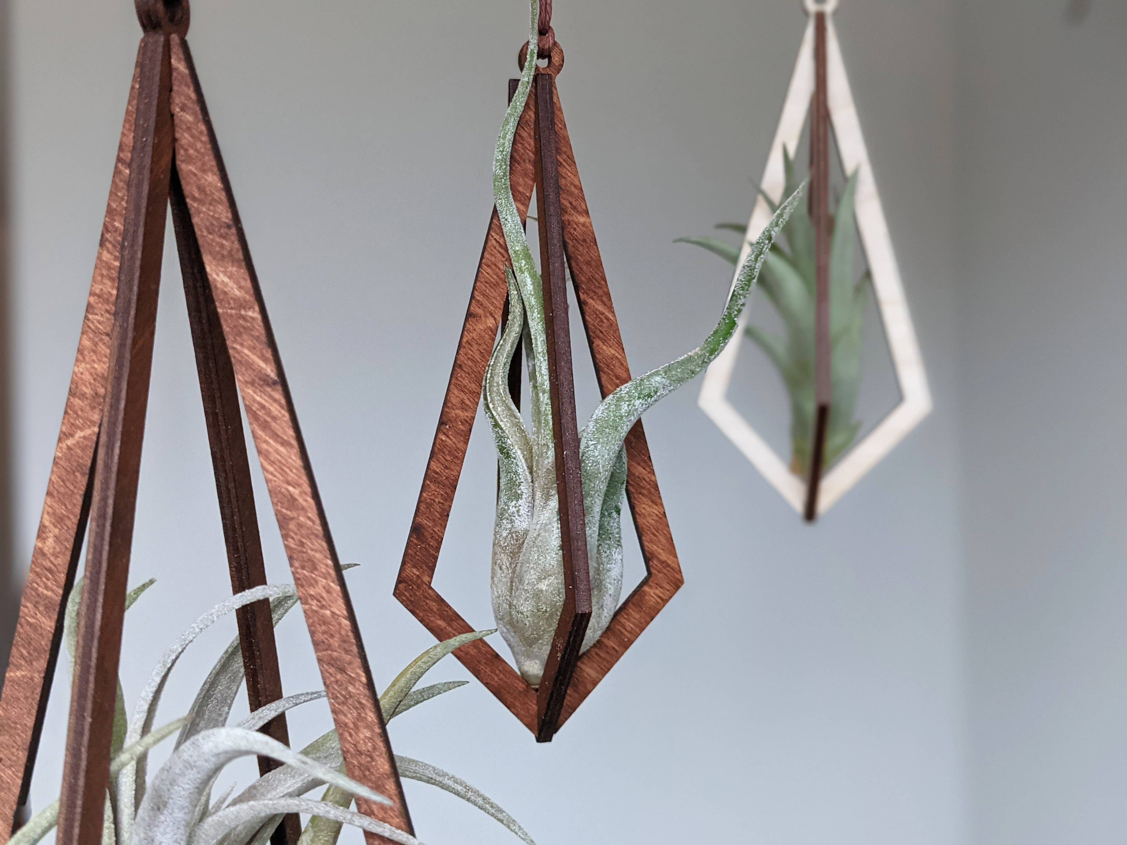 Diamond Air Plant Hangers