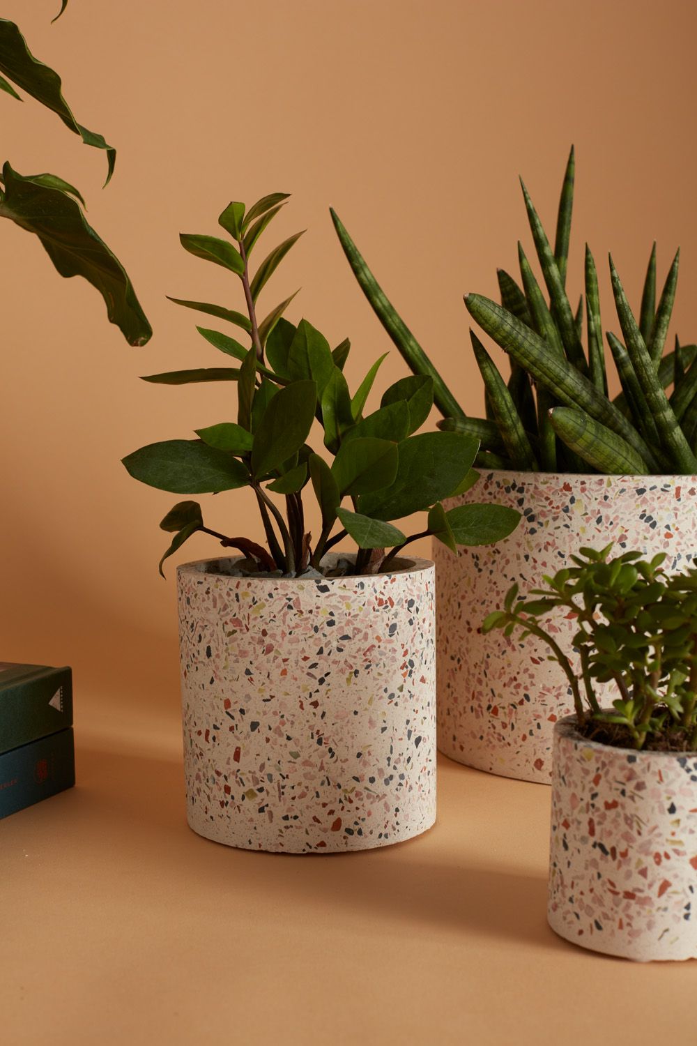 Terrazzo Pot